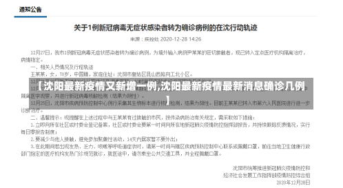 【沈阳最新疫情又新增一例,沈阳最新疫情最新消息确诊几例】-第1张图片-建明新闻