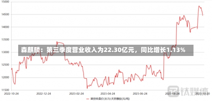 森麒麟：第三季度营业收入为22.30亿元，同比增长1.13%-第2张图片-建明新闻