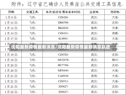 沈阳最新疫情最新消息/沈阳最新疫情最新消息轨迹-第1张图片-建明新闻