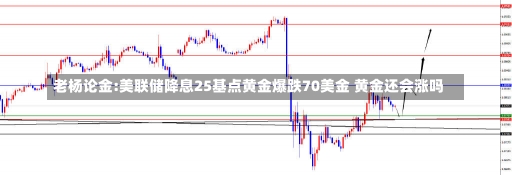 老杨论金:美联储降息25基点黄金爆跌70美金 黄金还会涨吗-第3张图片-建明新闻