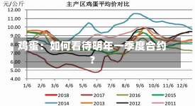 鸡蛋：如何看待明年一季度合约？-第2张图片-建明新闻