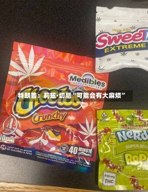 特朗普：莉兹·切尼“可能会有大麻烦”-第2张图片-建明新闻