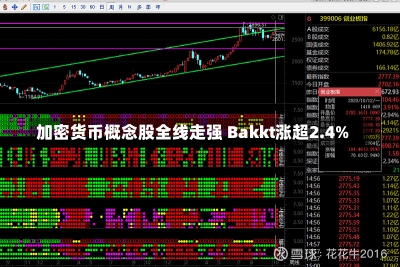 加密货币概念股全线走强 Bakkt涨超2.4%-第1张图片-建明新闻