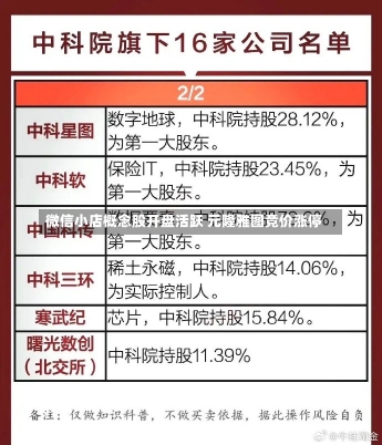 微信小店概念股开盘活跃 元隆雅图竞价涨停-第2张图片-建明新闻