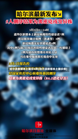 哈尔滨新增本土确诊6例(哈尔滨新增本土确诊病)-第2张图片-建明新闻