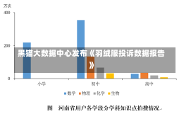 黑猫大数据中心发布《羽绒服投诉数据报告》-第2张图片-建明新闻