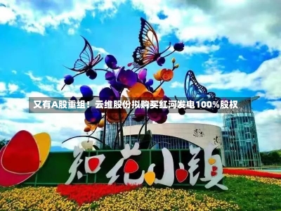 又有A股重组！云维股份拟购买红河发电100%股权-第2张图片-建明新闻