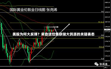 美股为何大反弹？来自这位美联储大鸽派的关键表态-第3张图片-建明新闻