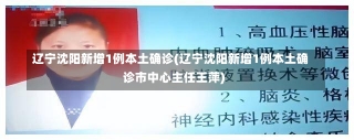 辽宁沈阳新增1例本土确诊(辽宁沈阳新增1例本土确诊市中心主任王萍)-第2张图片-建明新闻