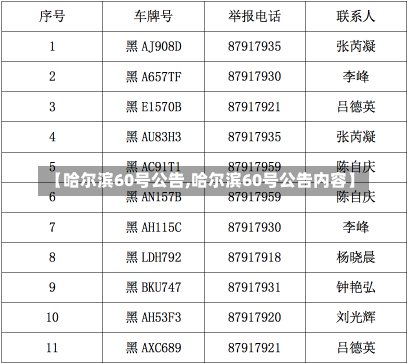 【哈尔滨60号公告,哈尔滨60号公告内容】-第1张图片-建明新闻