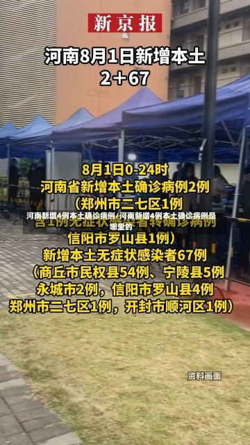 河南新增4例本土确诊病例/河南新增4例本土确诊病例是哪里的-第2张图片-建明新闻