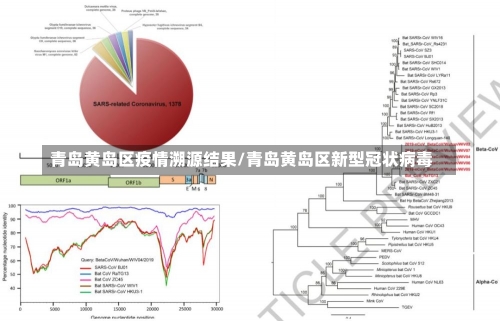 青岛黄岛区疫情溯源结果/青岛黄岛区新型冠状病毒-第3张图片-建明新闻