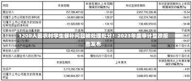 1200人因农村学生餐补问题被处理处分！2023年度审计整改报告发布-第1张图片-建明新闻