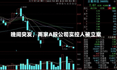 晚间突发，两家A股公司实控人被立案-第1张图片-建明新闻