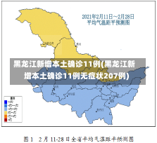 黑龙江新增本土确诊11例(黑龙江新增本土确诊11例无症状207例)-第1张图片-建明新闻