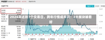 2024年还剩7个交易日，跨年行情成共识！3大板块被看好-第1张图片-建明新闻