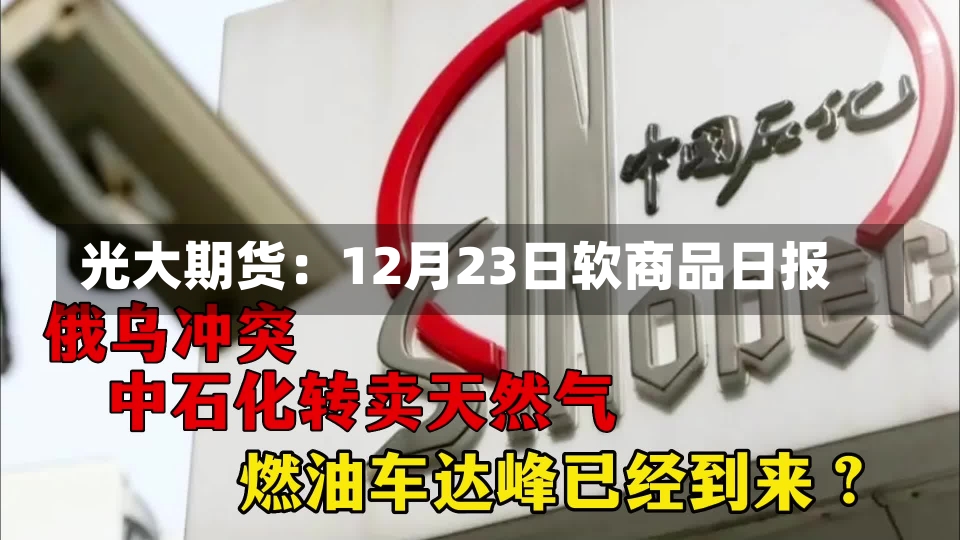 光大期货：12月23日软商品日报-第1张图片-建明新闻