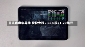 富乐客盘中异动 股价大跌5.00%报21.29美元-第1张图片-建明新闻