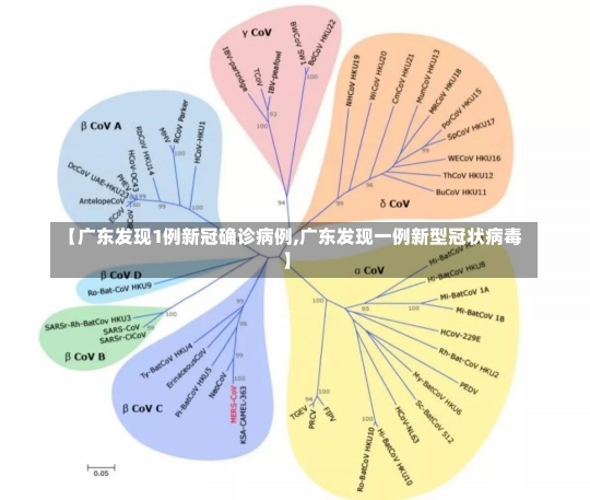 【广东发现1例新冠确诊病例,广东发现一例新型冠状病毒】-第1张图片-建明新闻