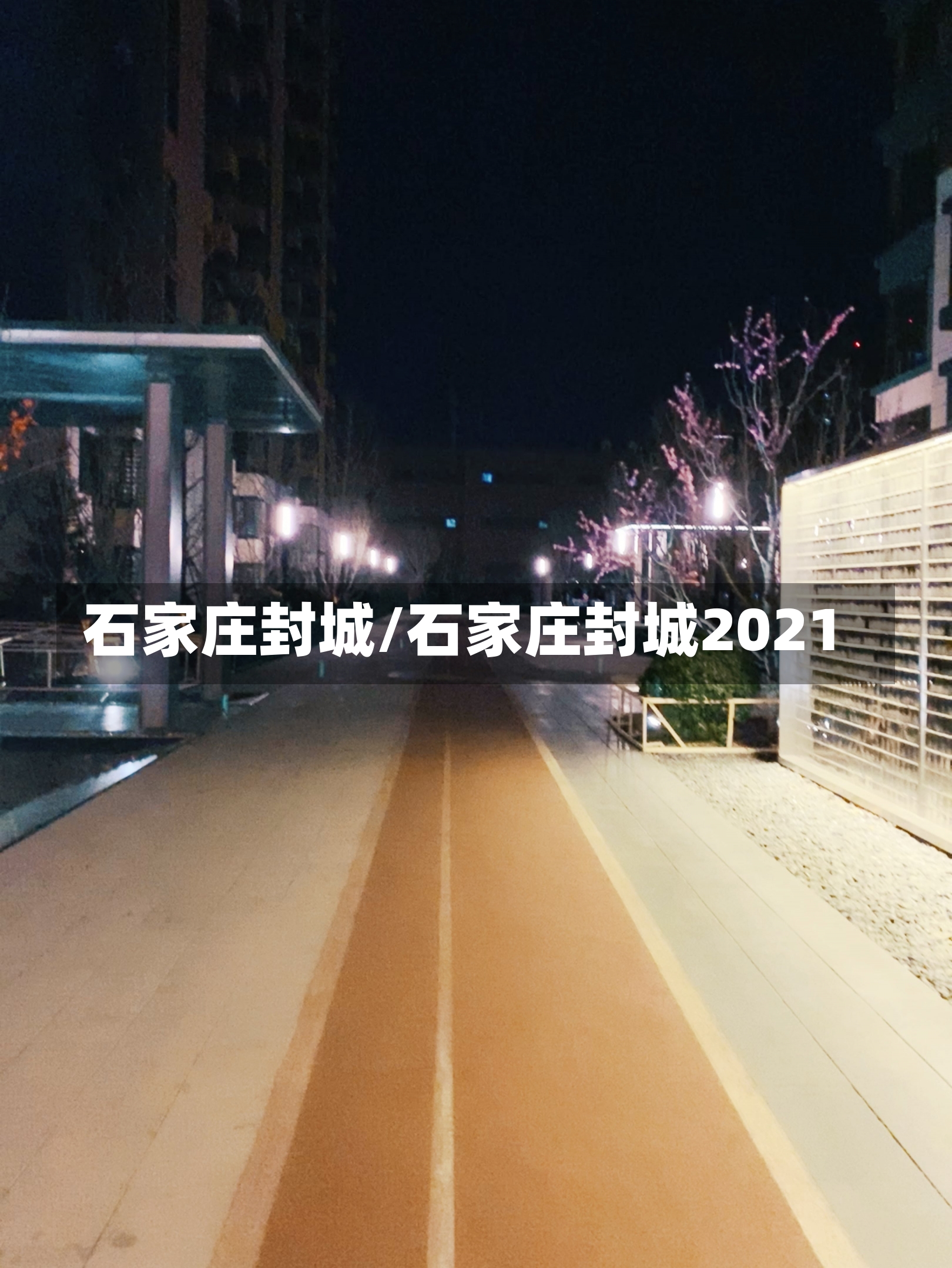 石家庄封城/石家庄封城2021-第3张图片-建明新闻