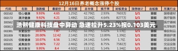 浩熙健康科技盘中异动 急速拉升5.23%报0.103美元-第1张图片-建明新闻