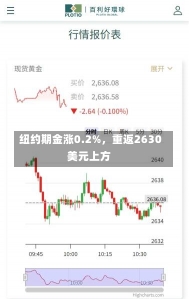 纽约期金涨0.2%，重返2630美元上方-第1张图片-建明新闻