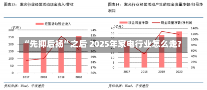 “先抑后扬”之后 2025年家电行业怎么走?-第1张图片-建明新闻