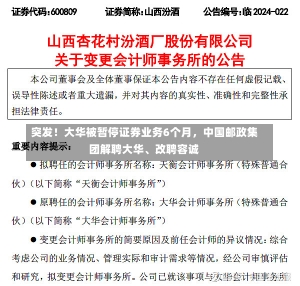 突发！大华被暂停证券业务6个月，中国邮政集团解聘大华、改聘容诚-第1张图片-建明新闻