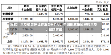 突发！大华被暂停证券业务6个月，中国邮政集团解聘大华、改聘容诚-第3张图片-建明新闻