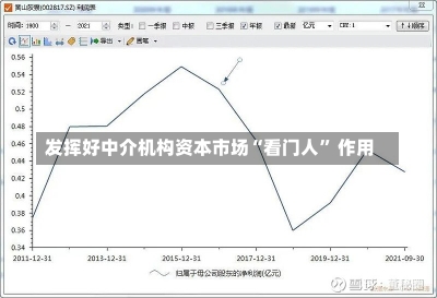 发挥好中介机构资本市场“看门人” 作用-第2张图片-建明新闻