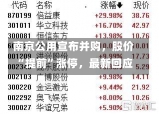 南京公用宣布并购，股价“提前”涨停，最新回应-第3张图片-建明新闻