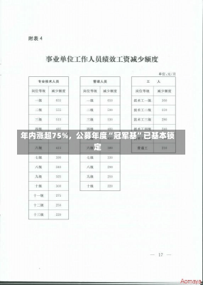 年内涨超75%，公募年度“冠军基”已基本锁定-第2张图片-建明新闻