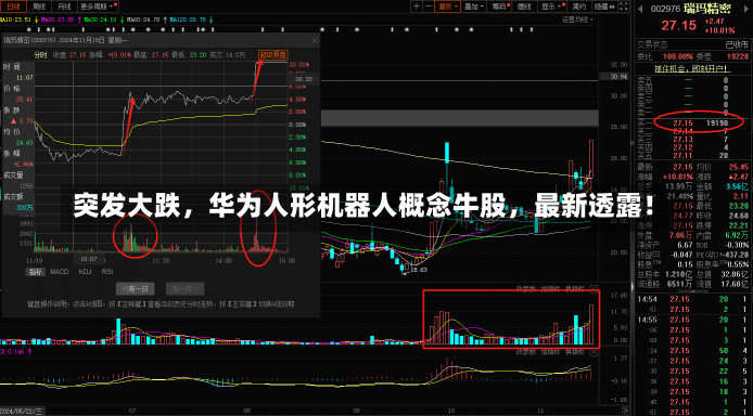 突发大跌，华为人形机器人概念牛股，最新透露！-第2张图片-建明新闻