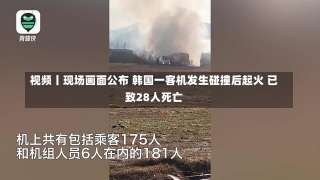 视频丨现场画面公布 韩国一客机发生碰撞后起火 已致28人死亡-第3张图片-建明新闻