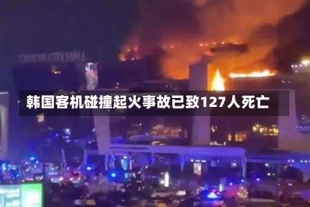 韩国客机碰撞起火事故已致127人死亡-第2张图片-建明新闻