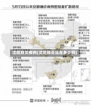 沈阳肺炎病例(沈阳肺炎现在多少例)-第1张图片-建明新闻