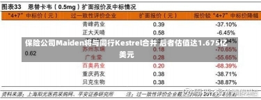 保险公司Maiden将与同行Kestrel合并 后者估值达1.675亿美元-第3张图片-建明新闻